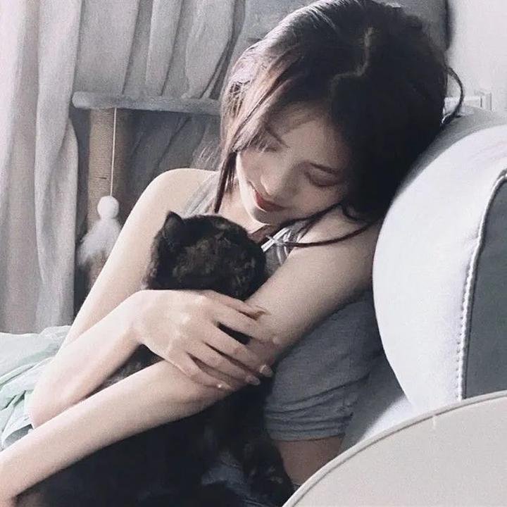 女总裁的全能赘婿