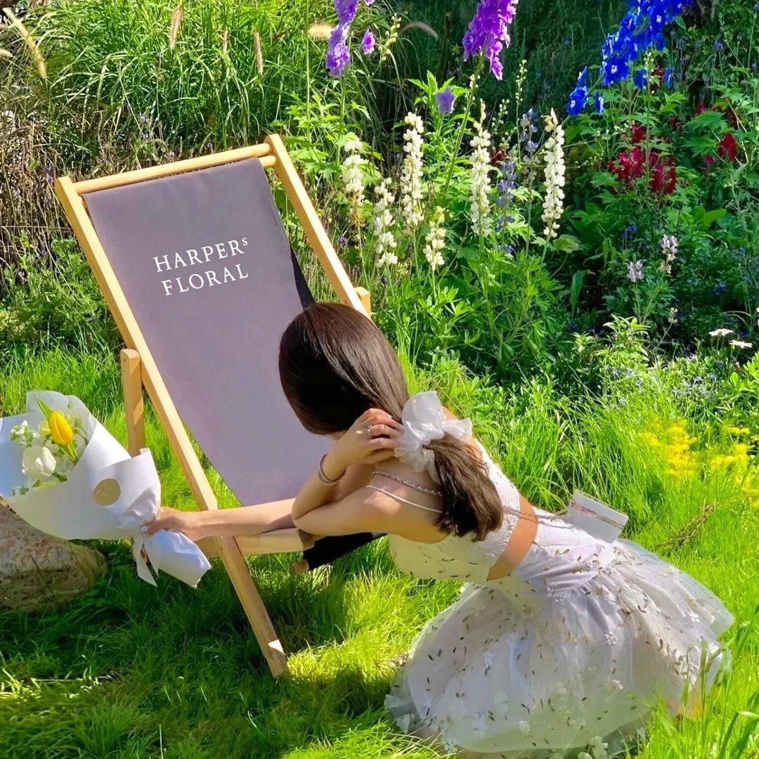 百年乡情第二季